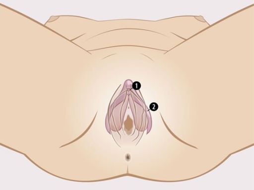 051 clitoris