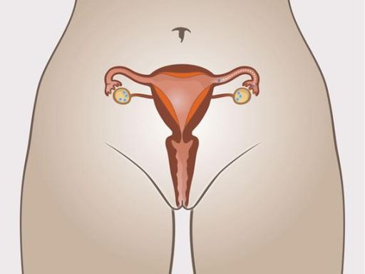 056 menstruatiecyclus afdaling