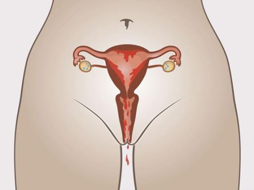 057 menstruatiecyclus menstruatie
