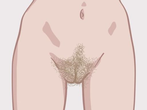 109 soorten vulvas 1