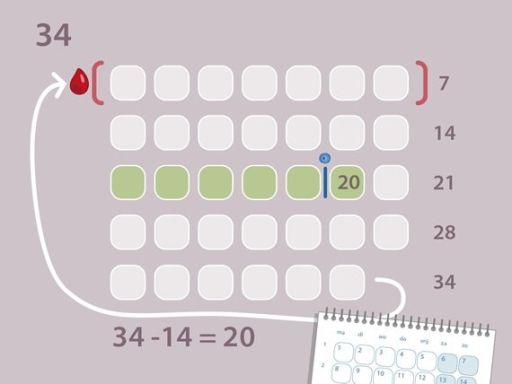 192c menstruatiecyclus tijdsindicatie lang 34 dagen