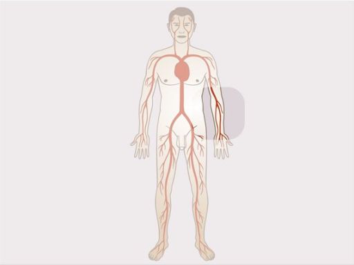 199 hiv afweersysteem zoom