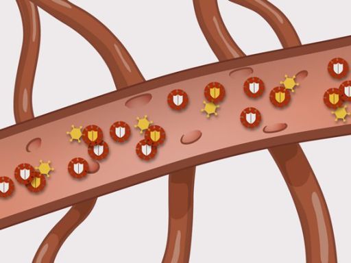 201 hiv afweersysteem beschadigd detail