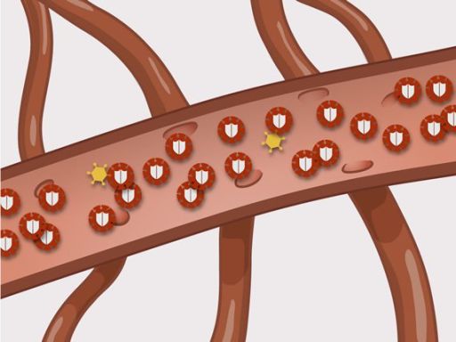 204 hiv behandeling detail