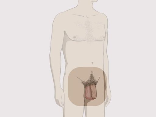 Mansvisiblesexualorgans omanstanding