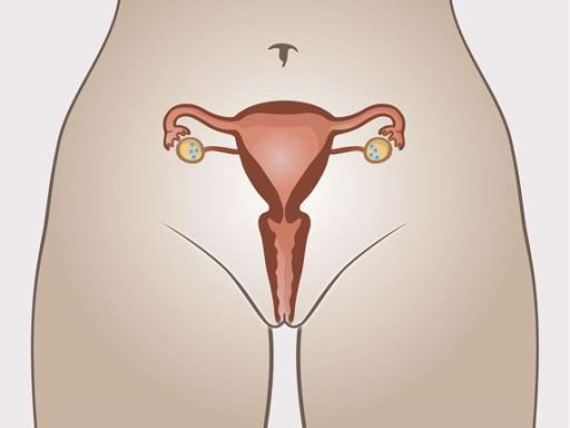 Menstrualperiod eggcellsstored