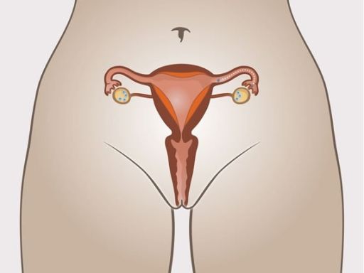 Menstrualperiod transportation 1