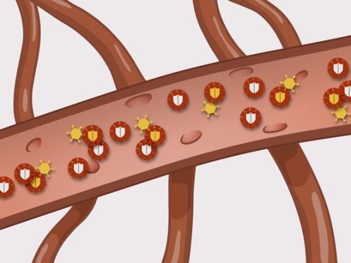 201 hiv afweersysteem beschadigd detail