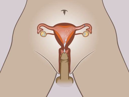 30 fertilization