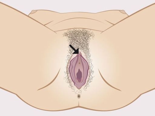 44 clitoris