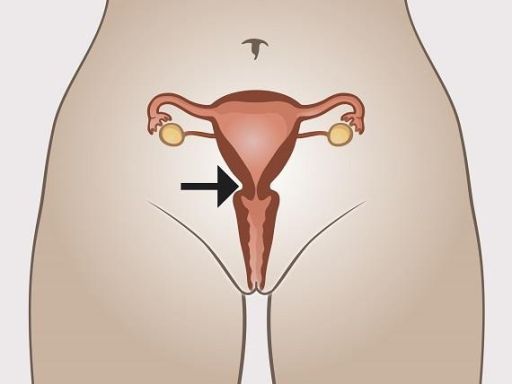 Bzga womaninternal 2